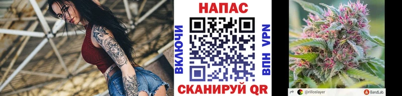 закладка Суровикино Каннабис OG Kush